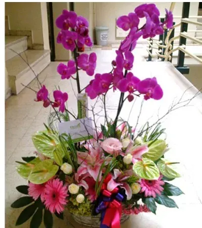 Korb mit Fuchsia-Orchidee, Lilien und Anthurien