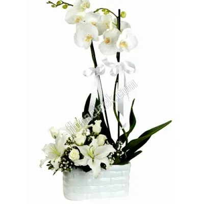 Arrangement aus weißer Orchidee, Lilien und weißen Rosen