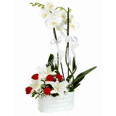 Arrangement aus weißer Orchidee, Lilien und roten Rosen