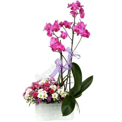 Rosa Orchidee mit Wiesenblumen in Keramik