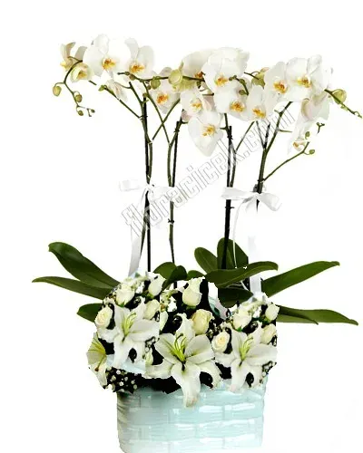 Weiße Orchidee (4 Rispen), Lilien und Rosen in weißer Keramik