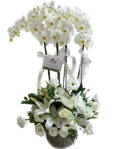 Weiße Orchidee (4 Rispen) und Lilien in grauer Keramik