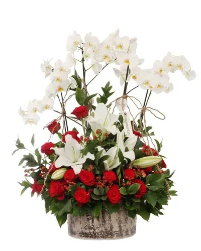 Weiße Orchideen mit roten Rosen und Lilien in breiter Keramik