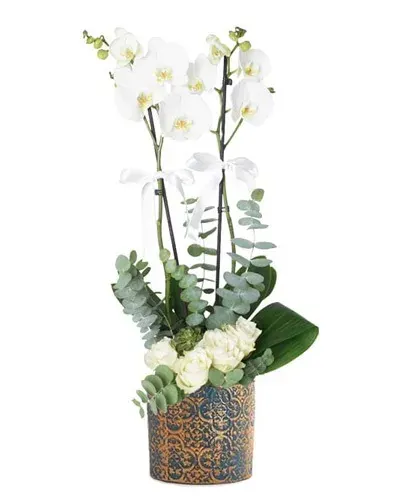 Weiße Orchidee und 5 weiße Rosen in gemusterter Keramik