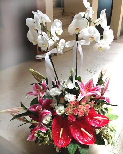 Korb mit Orchidee, Anthurie und Lilien